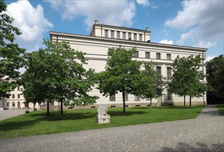 Martin-Luther-University