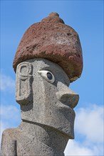 Moai in the Ahu Tahai Complex