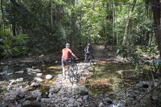 Two cyclists with e-mountain bikes in rainforest
