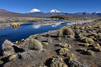Snow-covered volcanoes Pomerape and Parinacota with icy river