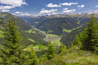 View from the peak Rauher Kopf