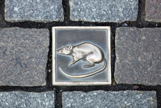 Paving tile with rat