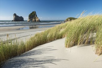 Grassy dune rock island Wharariki Beach