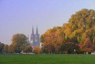 Rheinpark in autumn in front of Cologne Cathedral