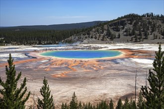 Grand Prismatic Spring