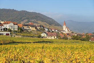 View of Weissenkirchen in the Wachau