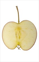 Apple slice with stalk