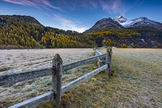 Pasture fence in a meadow with hoarfrost in front of Engadine mountains