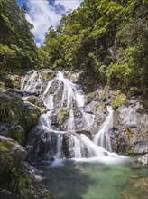 Waterfall Fantail Falls