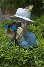 Figure with bird on hat and binoculars looking over a hedge