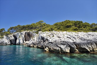 Tremiti Island San Domino