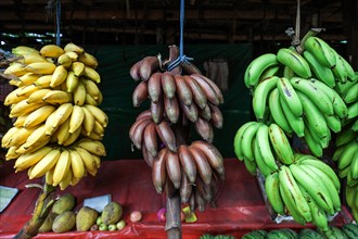 Fruit stall with bananas