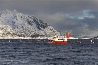Fishing boat in front of snow-covered mountains