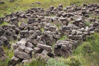 Engraved and stacked peat are drying on a heath
