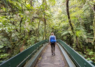 Woman walking along path through the rainforest