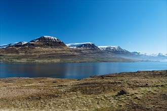 Near Reyoarfjorour