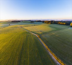 Meadow landscape at sunrise