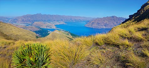 Panoramic view from summit of Ben Lomond