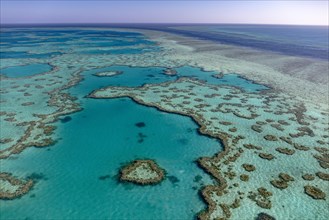 Coral Reef