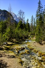 Headwater of the Isar