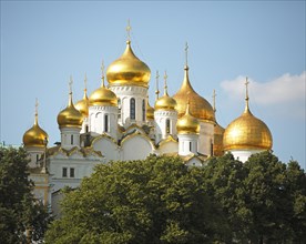 Golden Domes of the Cathedral of the Annunciation