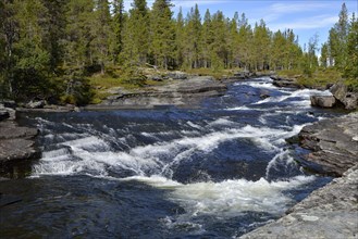 Rapids in River Rovran