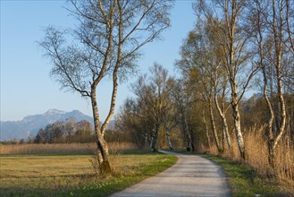 Bicycle path and footpath at the Chiemsee