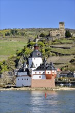 Castle Pfalzgrafenstein with Castle Gutenfels
