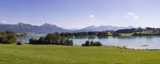 Forggensee