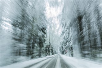 Road through snowy forest