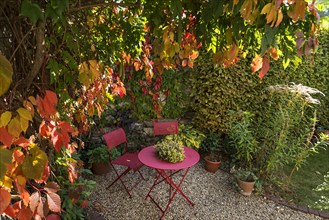 Garden arbour with garden table and chairs with autumnal vine leaves