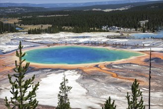 Grand Prismatic Spring