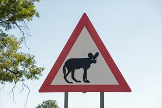 Road sign warning of African wild dogs