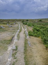 Granite rails of the horse-drawn railway