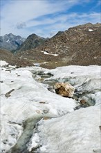 Glacier stream meanders through glacier tongue below the summit Schwarzwand