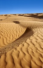 Sand dunes of Erg Oriental