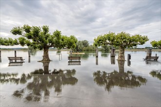 Floods