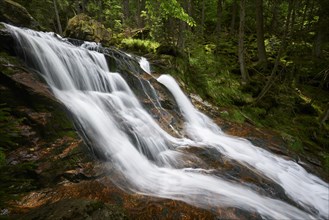 Rissbachfalle in the Bavarian Forest