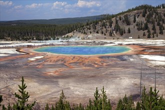 Grand Prismatic Spring