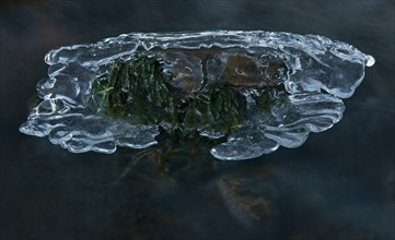 Ice on mossy stone in a brook