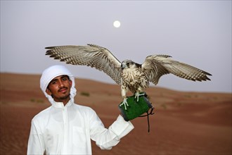 Falconer with Falcon