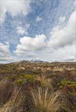 Volcano Mount Tongariro and Mount Ngauruhoe