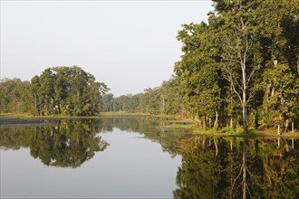 Trees reflected in Twenty Thousand Lake