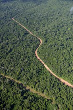 Road through Amazon rainforest