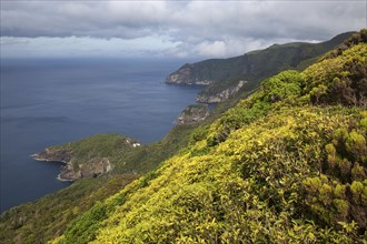 View from Miradouro sobre Ponta Delgada das Flores to the northeast coast