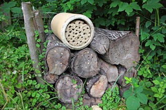 Wooden pile with drillings as a nesting aid for solitary wild bees