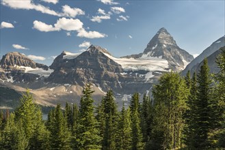 Mount Assiniboine