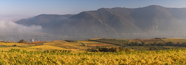 Autumnal vineyards