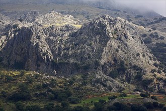 Rock massif in the Sierra de Grazalema nature park Park