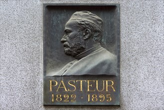 Memorial plaque with the relief of Luis Pasteur